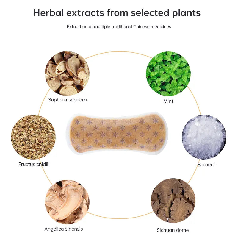 Zimeishu silver-ion gynecological care pad