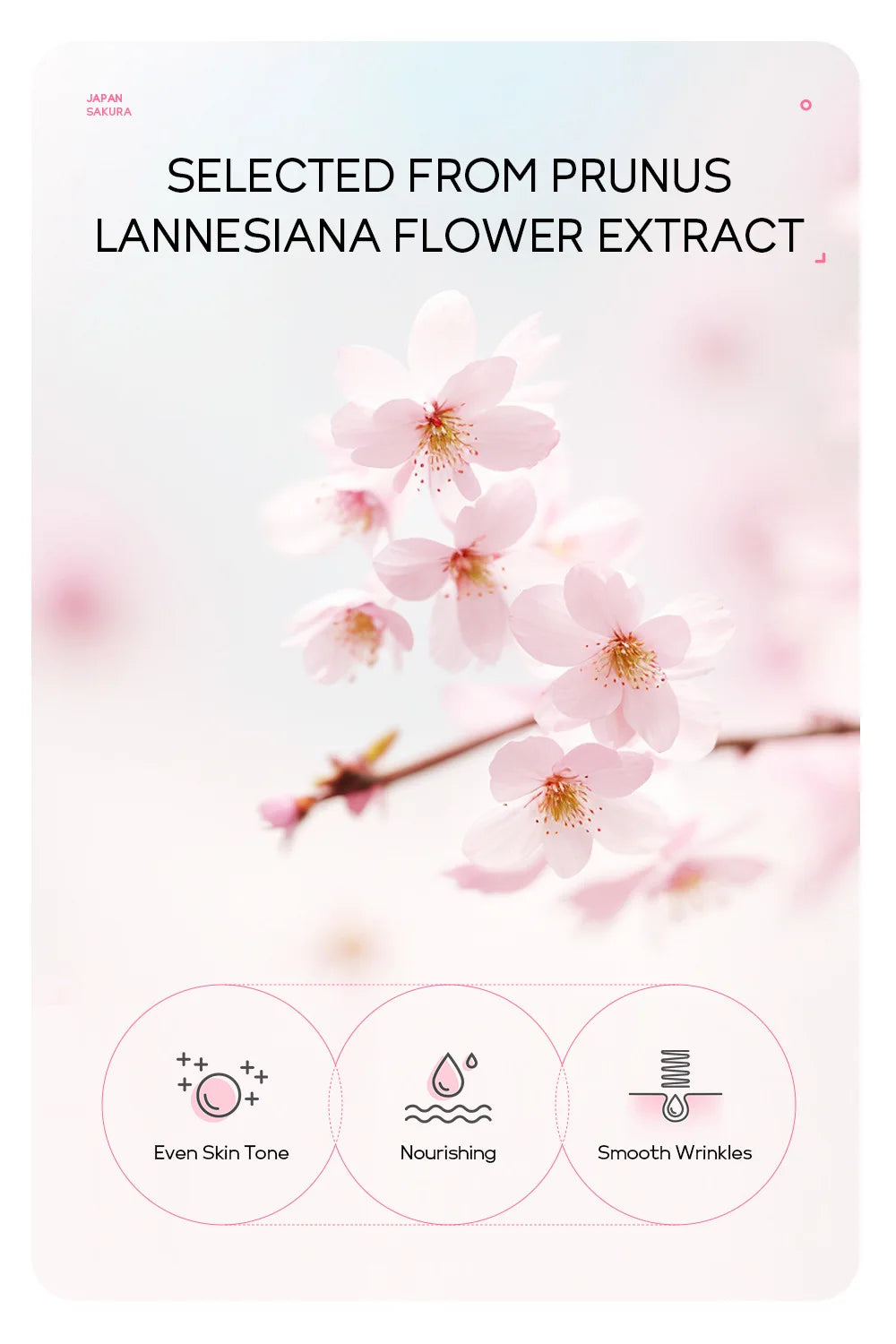 LAIKOU 24K Gold Sakura Peeling Face Mask