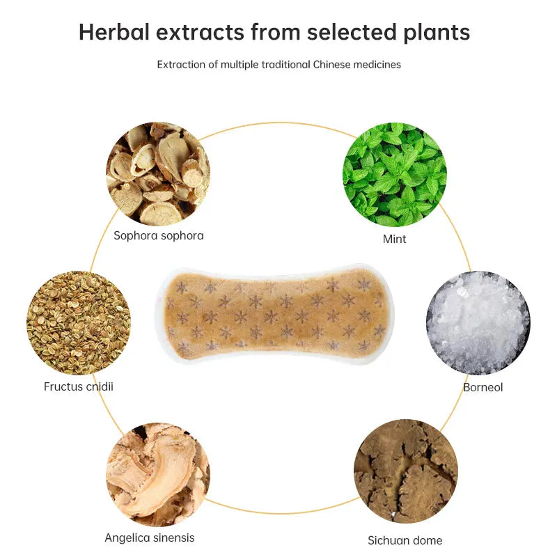 Zimeishu silver-ion gynecological care pad